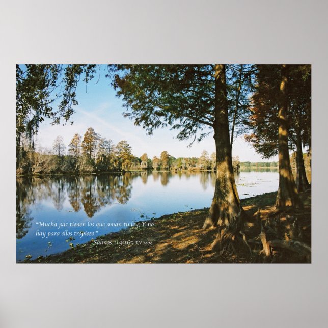 Pôster Salmos 119:165 (Frente)