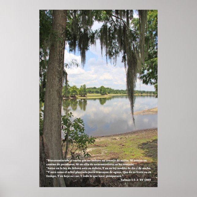Poster Salmos 1:1-3 (Cartel con Rio y Arbol) (Frente)