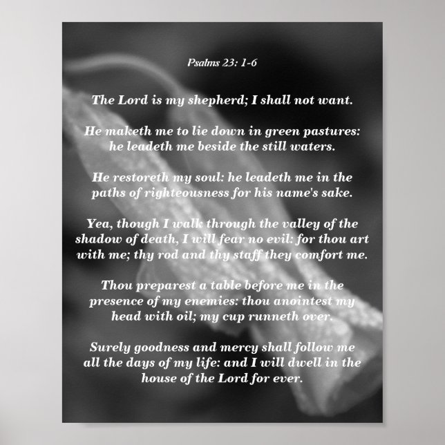 Poster Salmos 23: 1-6 (Frente)