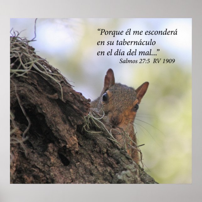 Pôster Salmos 27-5 con Ardilla (Frente)
