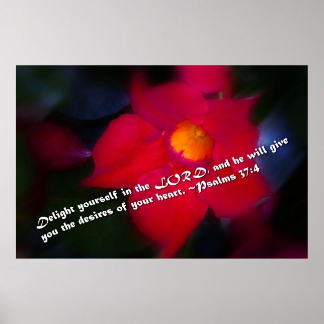 Poster Salmos 37:4 (Frente)