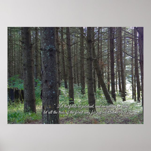 Poster Salms 96:12 Inspiracional (Frente)