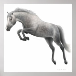 Pôster Saltando Cavalo de Cinza Vedada