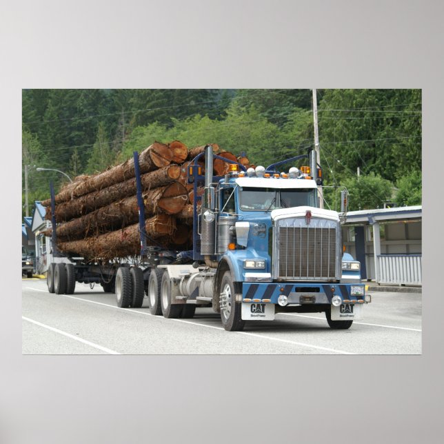 Pôster Saltery Bay (Frente)