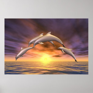 Pôster Salto do nascer do sol