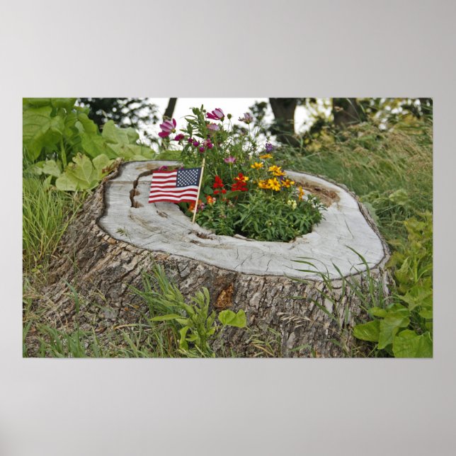 Pôster Salto Patriótico (Frente)