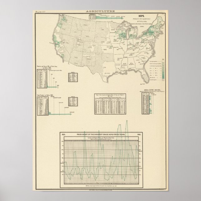 Pôster Saltos (Frente)
