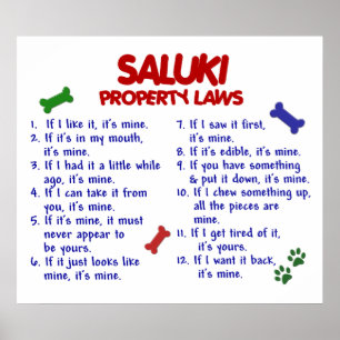 POSTER SALUKI PL2