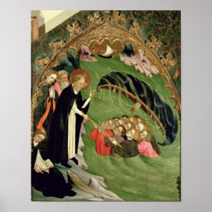 Pôster Salvamento de St Dominic Shipwrecked
