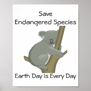 Poster Salvar espécies ameaçadas de extinção Koala
