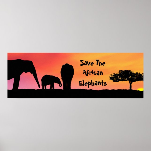 Poster Salvar os elefantes africanos (Frente)