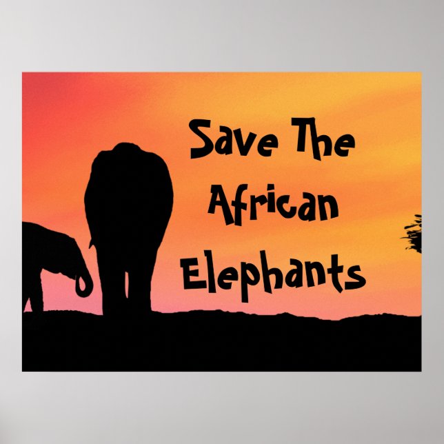 Poster Salvar os Elefantes Africanos (Frente)