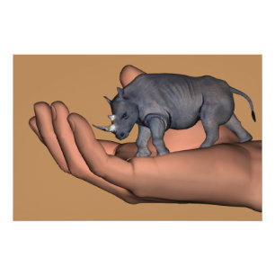 Pôster Salvar os Rhinos!