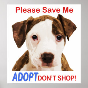 Pôster Salvar que por favor me Adopt não compra