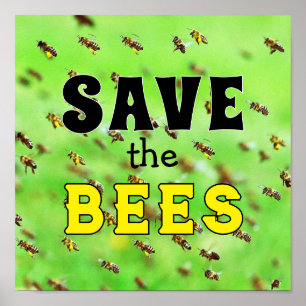 Poster Salve as abelhas