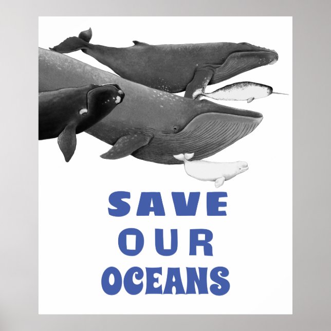 Poster Salve nossa baleia de arte ambiental dos oceanos (Frente)