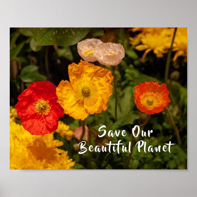 Poster Salve Nosso Planeta Bonito Flores Brilhantes e Bon (Frente)