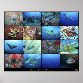 Poster Salve nossos oceanos