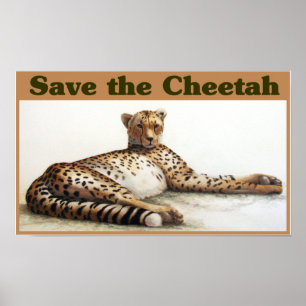 Pôster Salve o Cheetah