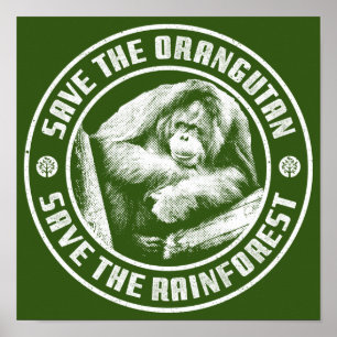 POSTER SALVE O ORANGUTAN SALVE A FLORESTA DE CHUVA.