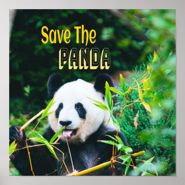 Poster Salve O Panda (Frente)