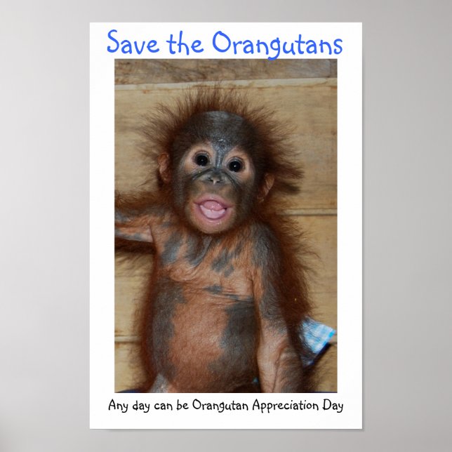 Poster Salve os Orangutanos (Frente)
