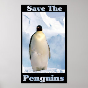Pôster Salve os pinguins