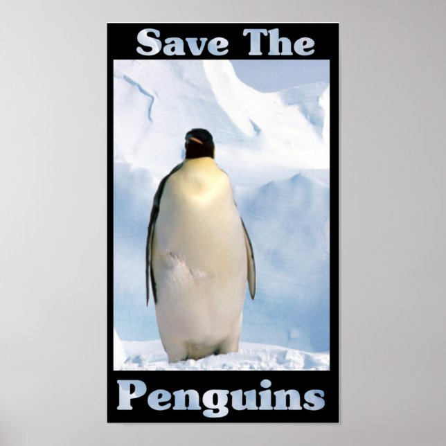 Pôster Salve os pinguins (Frente)