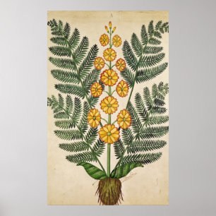 Pôster Samambaia com flores amarelas
