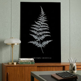 Poster Samambaia Dourada, Gymnogramma Chrysophylla