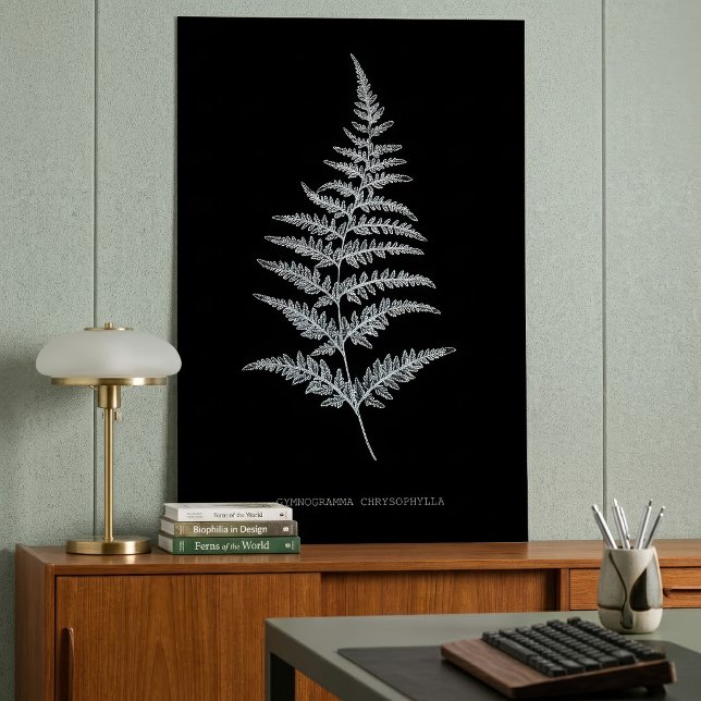 Poster Samambaia Dourada, Gymnogramma Chrysophylla (Golden Fern Frond, Gymnogramma Chrysophylla. Poster)