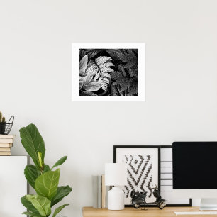 Poster Samambaia e Folhagem Frondosa Preto e Branco