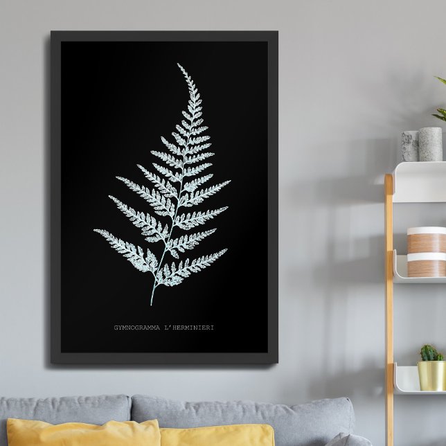 Poster Samambaia - Gymnogramma L'herminieri. Efeito de ra (Criador carregado)