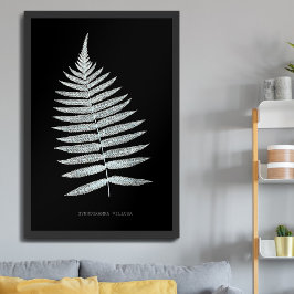 Poster Samambaia - Gymnogramma Villosa - efeito de Raio-X