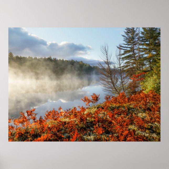 Poster Samambaia na costa | Paradise, Michigan (Frente)