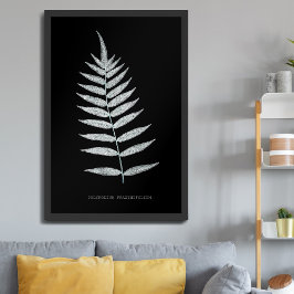 Poster Samambaia - Polypodyum Fraxinifolium - efeito de r