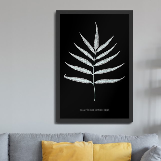 Poster Samambaia - Polypodyum Grandidens - efeito de raio (Criador carregado)