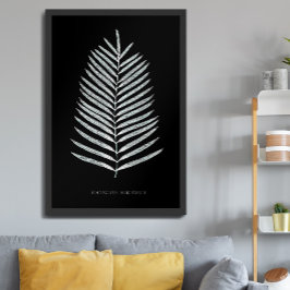 Poster Samambaia - Polypodyum Henchmanii - efeito de Raio