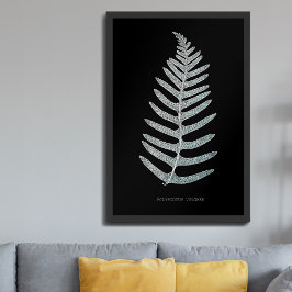 Poster Samambaia - Polypodyum Vulgare - efeito de raio-X