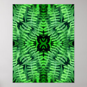 Poster Samambaias Verdes Folhosas Abstrato