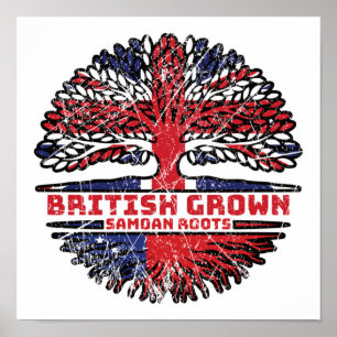Poster Samoa Samoano Reino Unido Britânico Raízes da Árvo