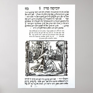 Pôster Samson e Delilah