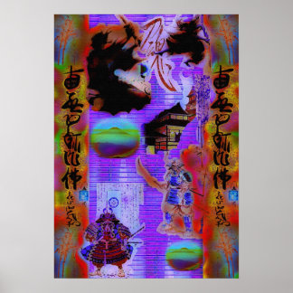 Pôster Samurai Warriors