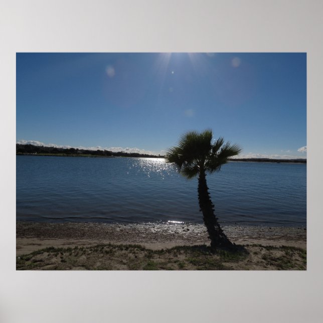 Pôster San Diego Morning na praia. (Frente)