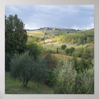 Pôster San_Gimgnanofield