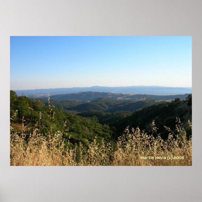 Pôster San Jose Foothills Grama seca (Frente)