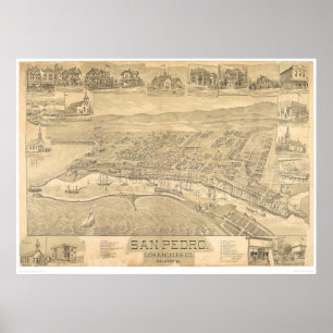 Pôster San Pedro, CA. Mapa Panorâmico 1895 (1319A)