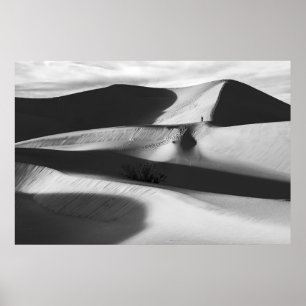 Poster Sand Dunes