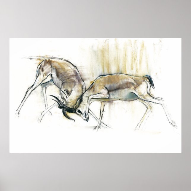 Poster Sand Gazelles 2009 (Frente)