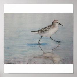 Poster Sand Piper Bird Art Print